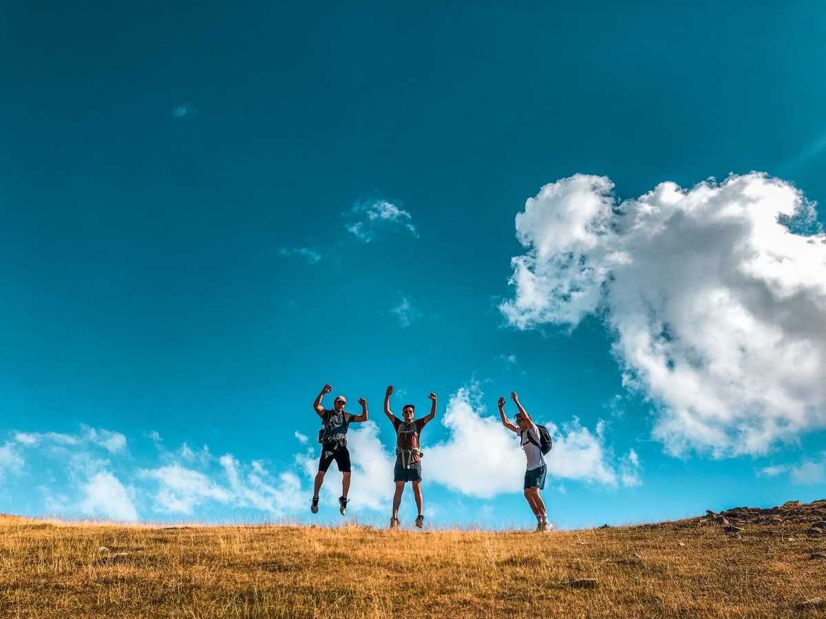 Baby Theft: Part&nbsp;II