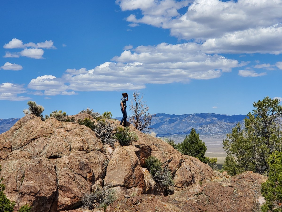 A Horribly Wrong&nbsp;Trip