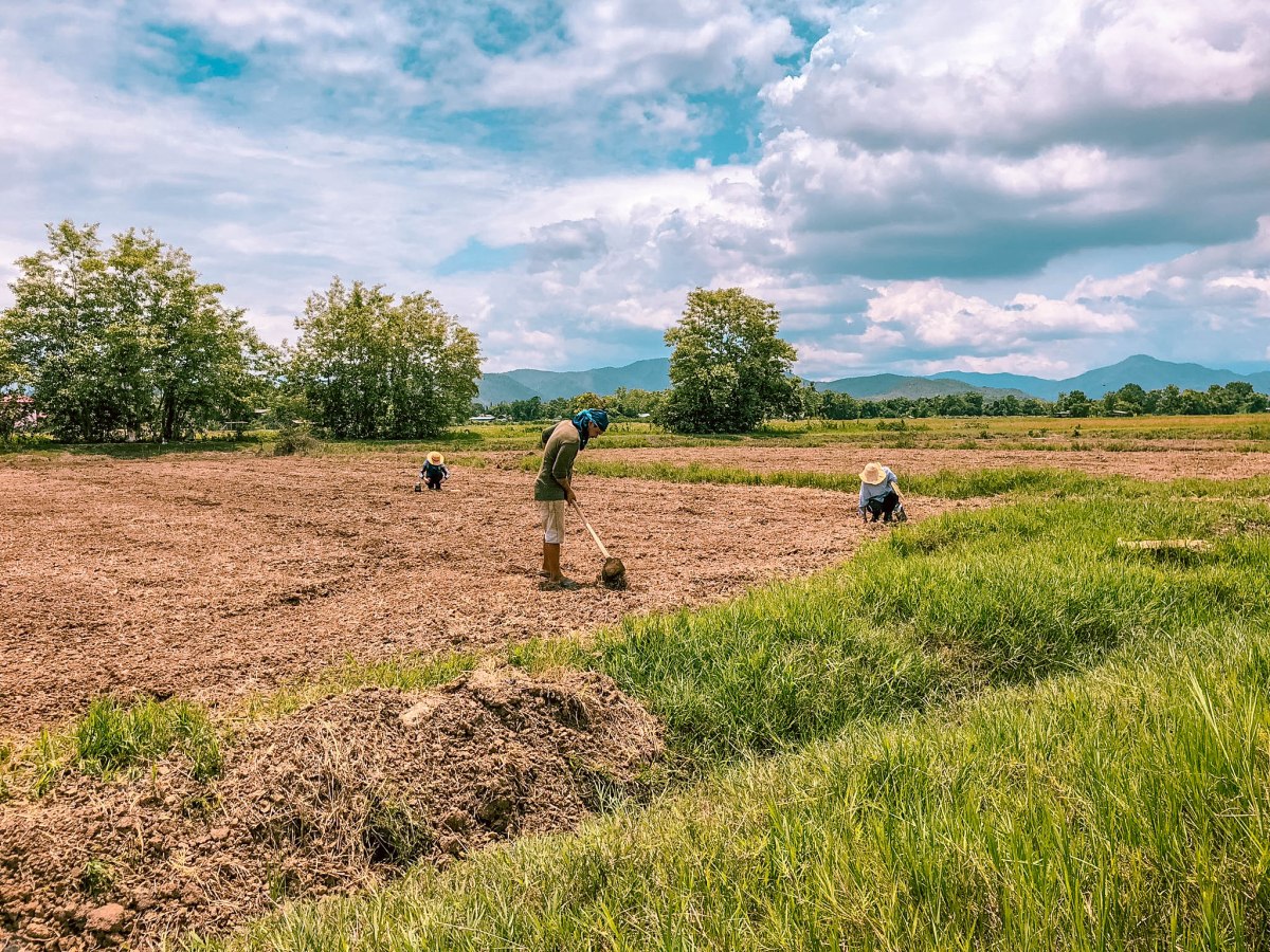 Travelling when you’re young, not-so-wild and…&nbsp;broke